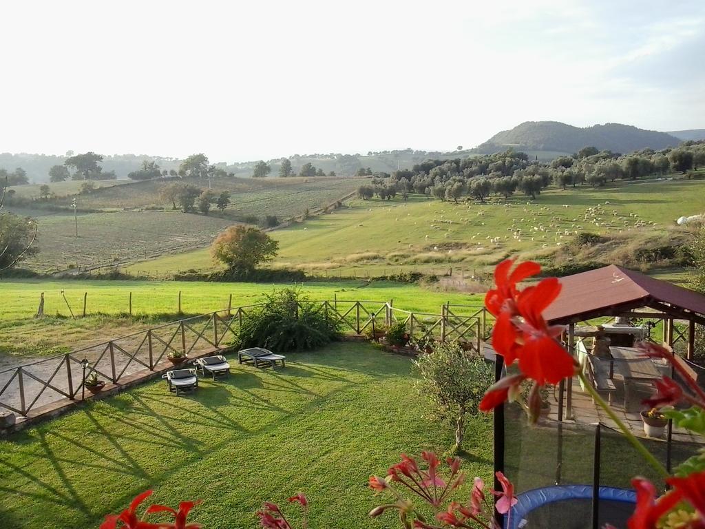 Agriturismo La Valle Degli Ulivi Semproniano Exterior photo