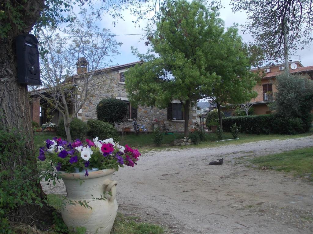 Agriturismo La Valle Degli Ulivi Semproniano Exterior photo